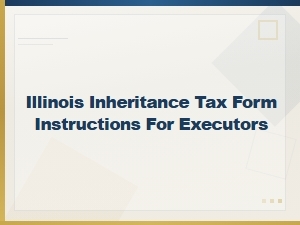 Illinois Inheritance Tax Form Instructions for Executors