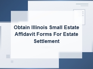 Illinois Small Estate Affidavit Forms for Settlement